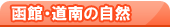 ���فE����̎��R