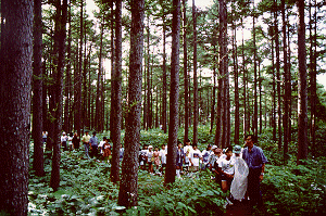 �΂���������