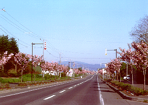 �t�����[���[�h