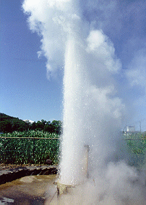 �����Ԍ���