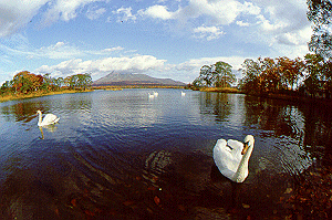 �����������E����