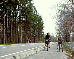 ����T�C�N�����O���[�h