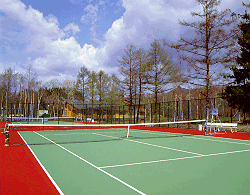 �e�j�X�R�[�g