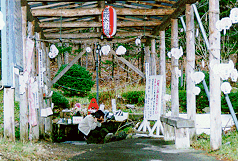 �����N������