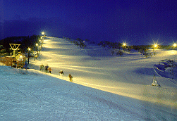 ���Êx���ۃX�L�[��