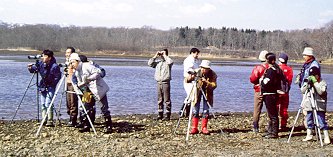 �o�[�h�E�H�b�`���O