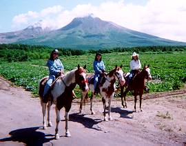 ホーストレッキング
