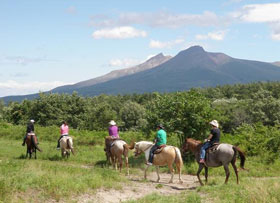 シャロレー牧場