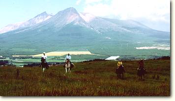 �z�[�X�g���b�L���O