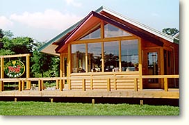 �A�C�X�N���[��