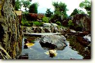 �͂����ă��[���h�q��u�I�V���C�v