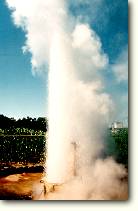 �����u�Ԍ���v