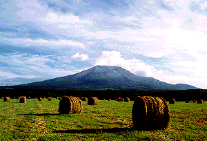 �q�����[��