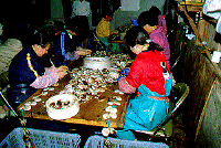 耳吊り作業の様子