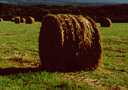 �q�����[��