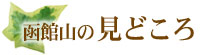 函館山の見どころ